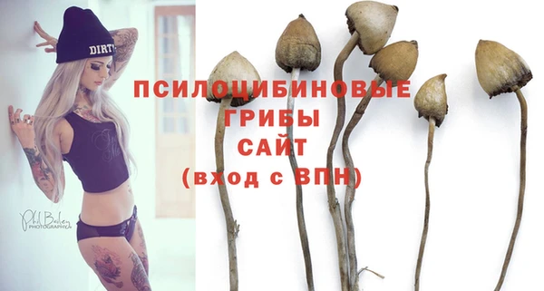 крисы Арсеньев