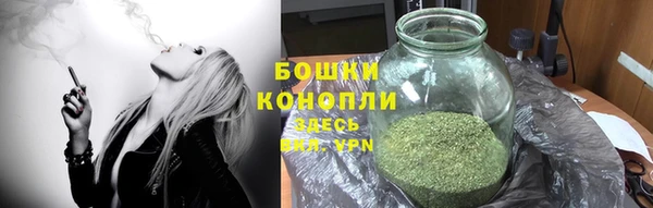 мяу мяу мука Аркадак