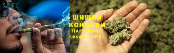 мяу мяу мука Аркадак