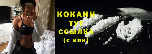 крисы Арсеньев