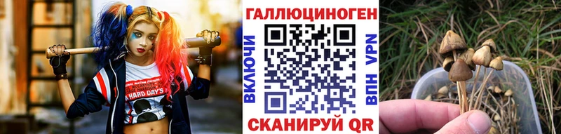 Галлюциногенные грибы MAGIC MUSHROOMS  Барыш 